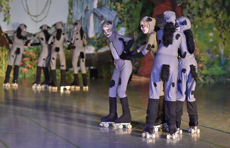Lionking 0521.JPG